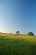 Spring Field