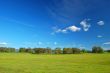 springtime landscape