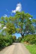 Country Road