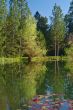 springtime lakeshore