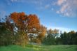 spring countryside