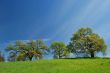 spring countryside