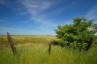 spring countryside