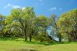 spring countryside
