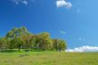 spring countryside