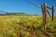 spring countryside