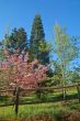 spring countryside
