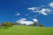 spring countryside