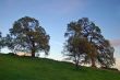 spring countryside