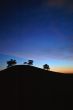 Oak Tree Silhouette