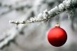 Red Ornament 5
