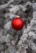 Red Ornament 4