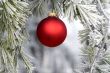 Red Ornament 1