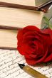 Letter with Rose 1