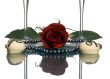 Lovers Wine 2