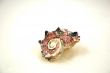 Sea shell