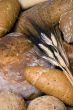 Assorted Bread with Wheat
