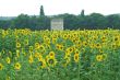 Uzes-Nimes