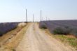 Valensole 19
