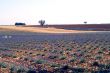 Valensole 39
