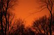 Orange Sky