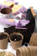 Planting Seeds 2