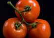 Tomatoes on Black
