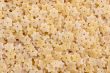Pasta Texture 3