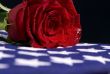 Fallen tears