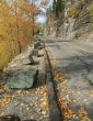 Autumn leaves on narrow mountain road