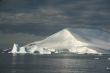 Icebergs and snow covered mountain