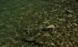 Rocky shore and lake stones