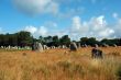 Carnac