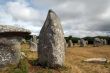 Carnac 7