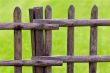 wooden fence and green grass