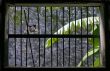 Vietnam window jail