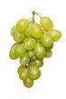 white grape cluster