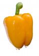 yellow pepper on White