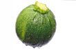 round zuchinni courgette