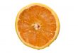 cuted grapefruit