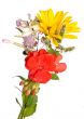 little bouquet