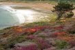 Cap Frehel 3