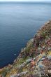 Cap Frehel 4