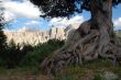 Passo Giau