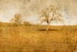 old-fashioned landscape