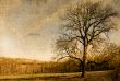 old-fashioned landscape