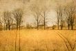 old-fashioned landscape