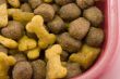 dogfood bowl closeup