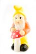 gnome and mushroom