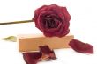 old rose laying on wood